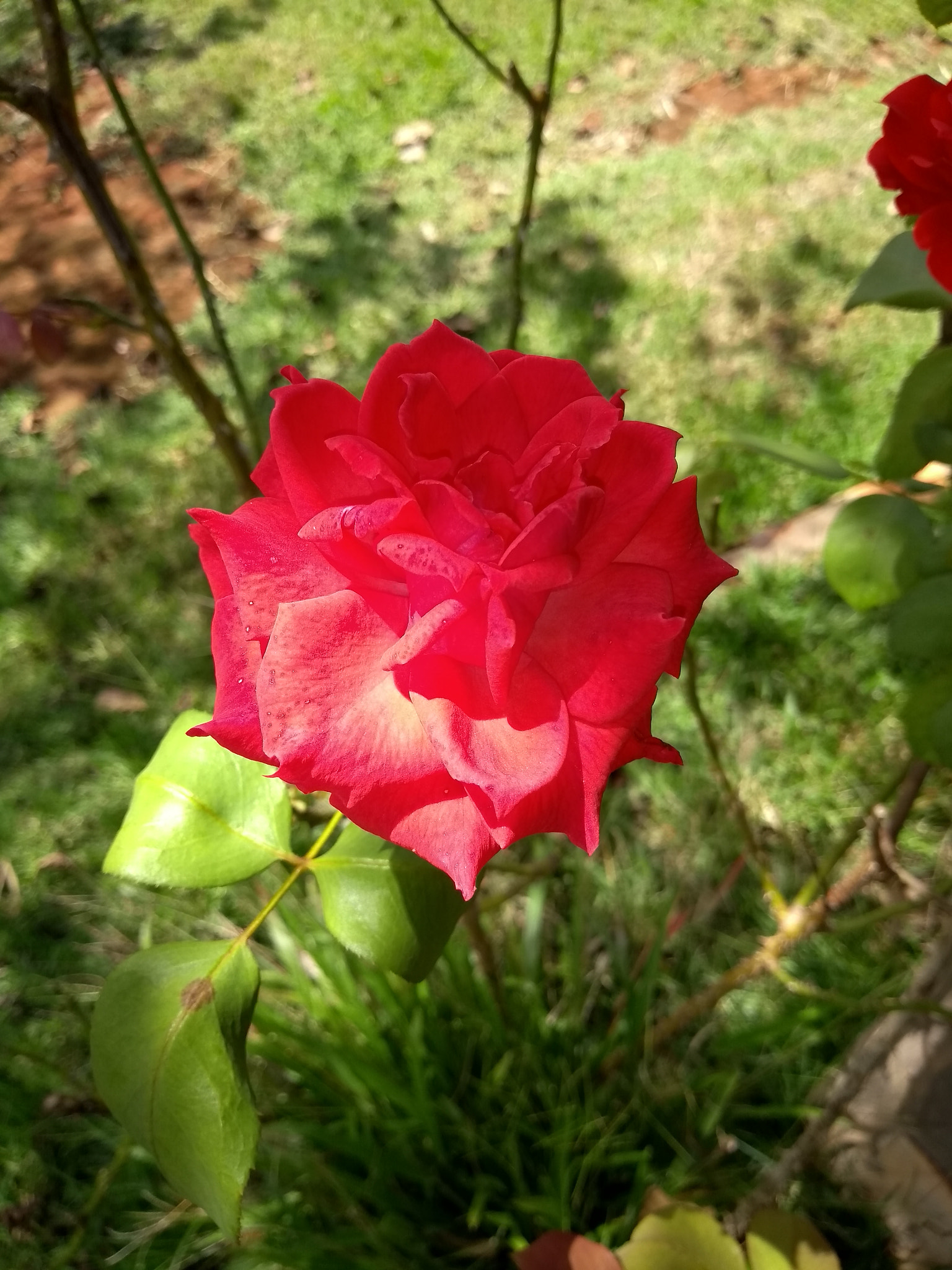 Motorola Moto G (5S) sample photo