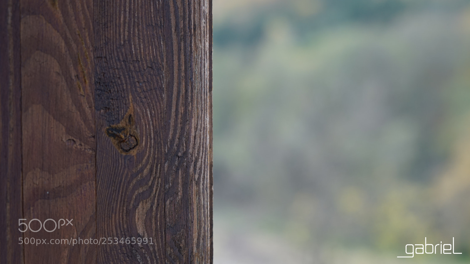 Sony a7 sample photo. Wood photography