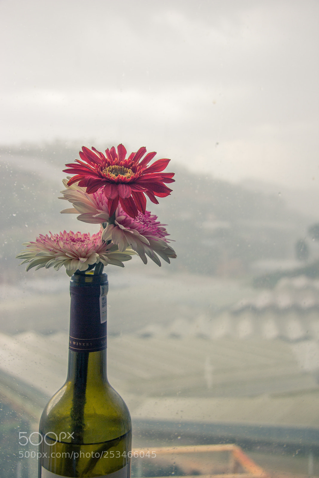 Canon EOS 60D sample photo. Afternoon photography