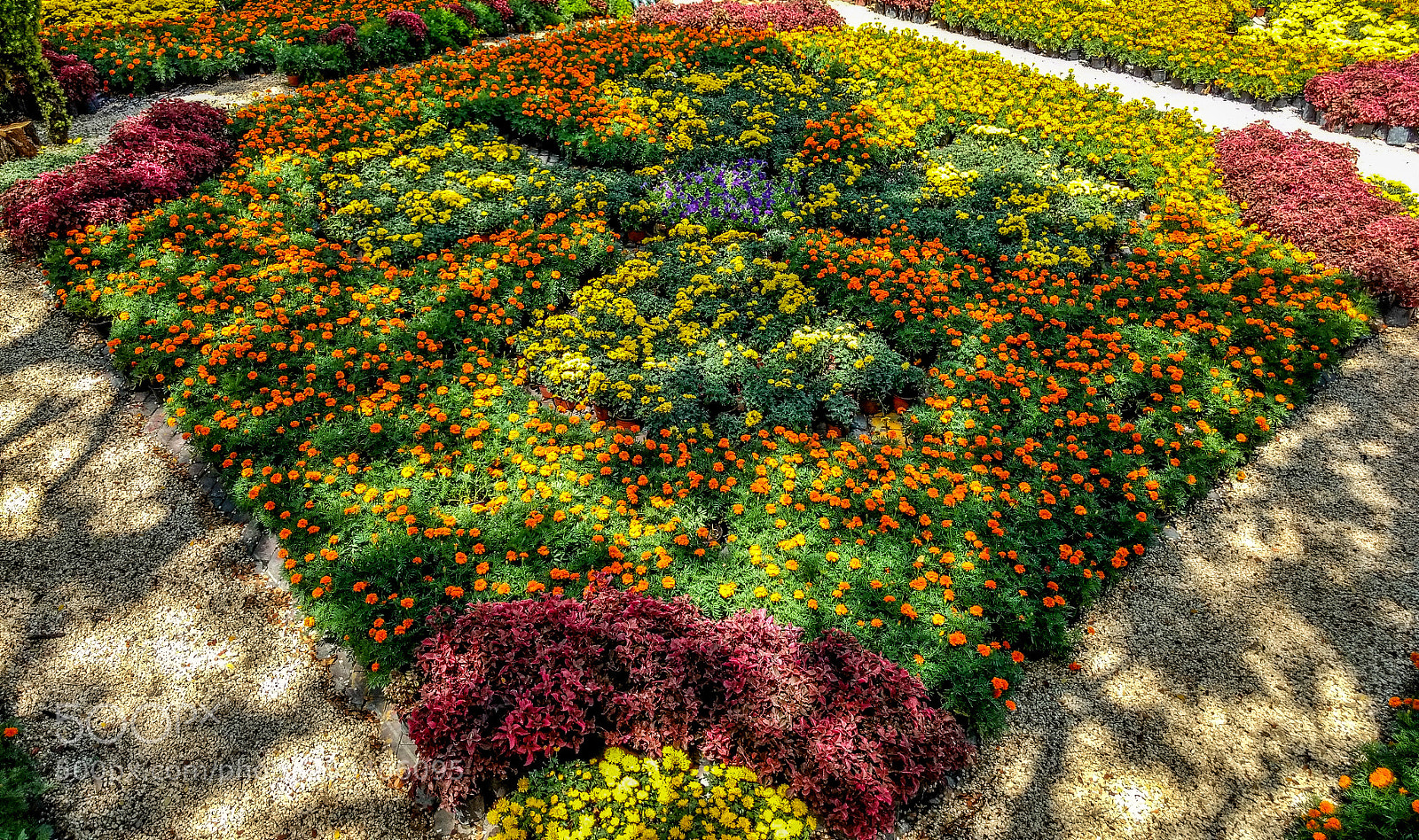 Motorola Moto G (4) sample photo. Paseo de las flores 3 photography