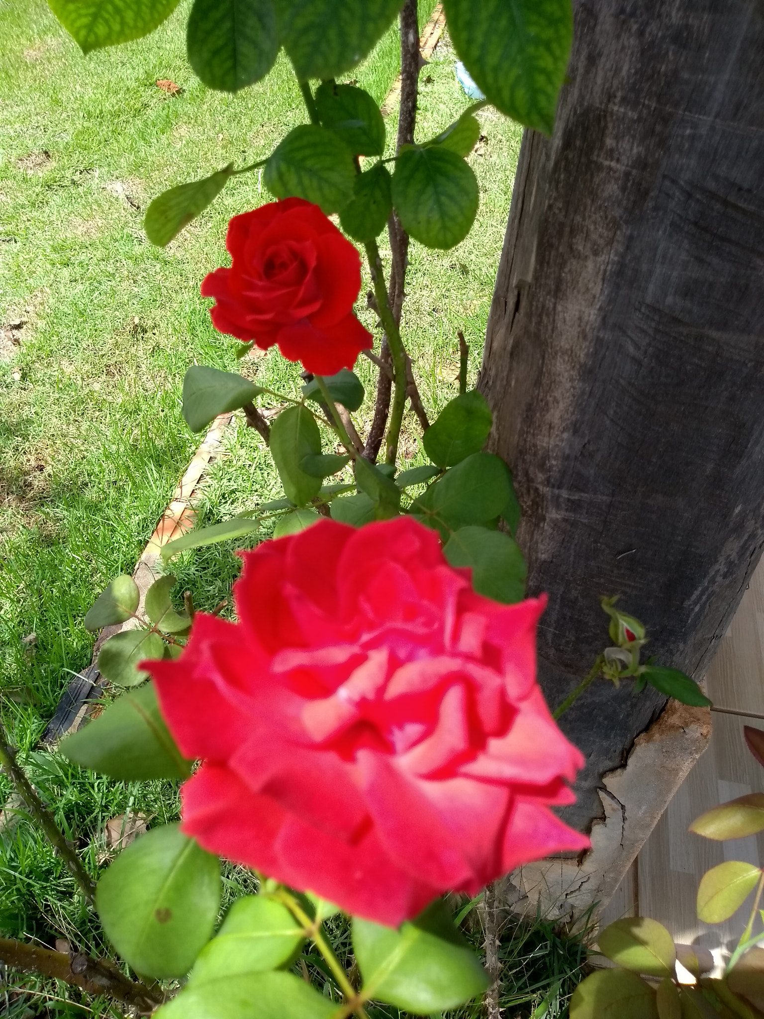 Motorola Moto G (5S) sample photo