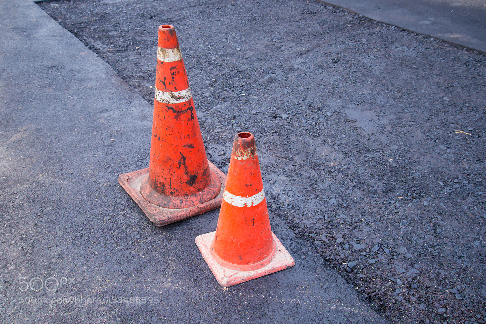 Nikon D600 sample photo. Cones. photography