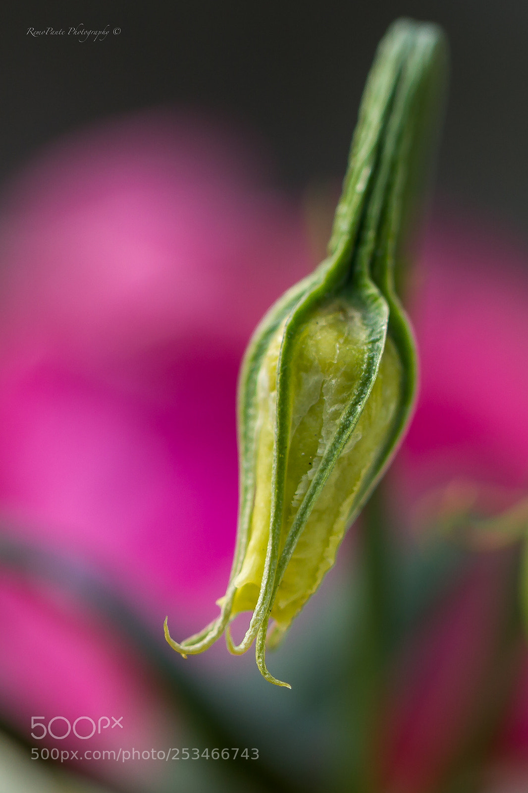 Canon EOS 7D sample photo. New beginnings photography