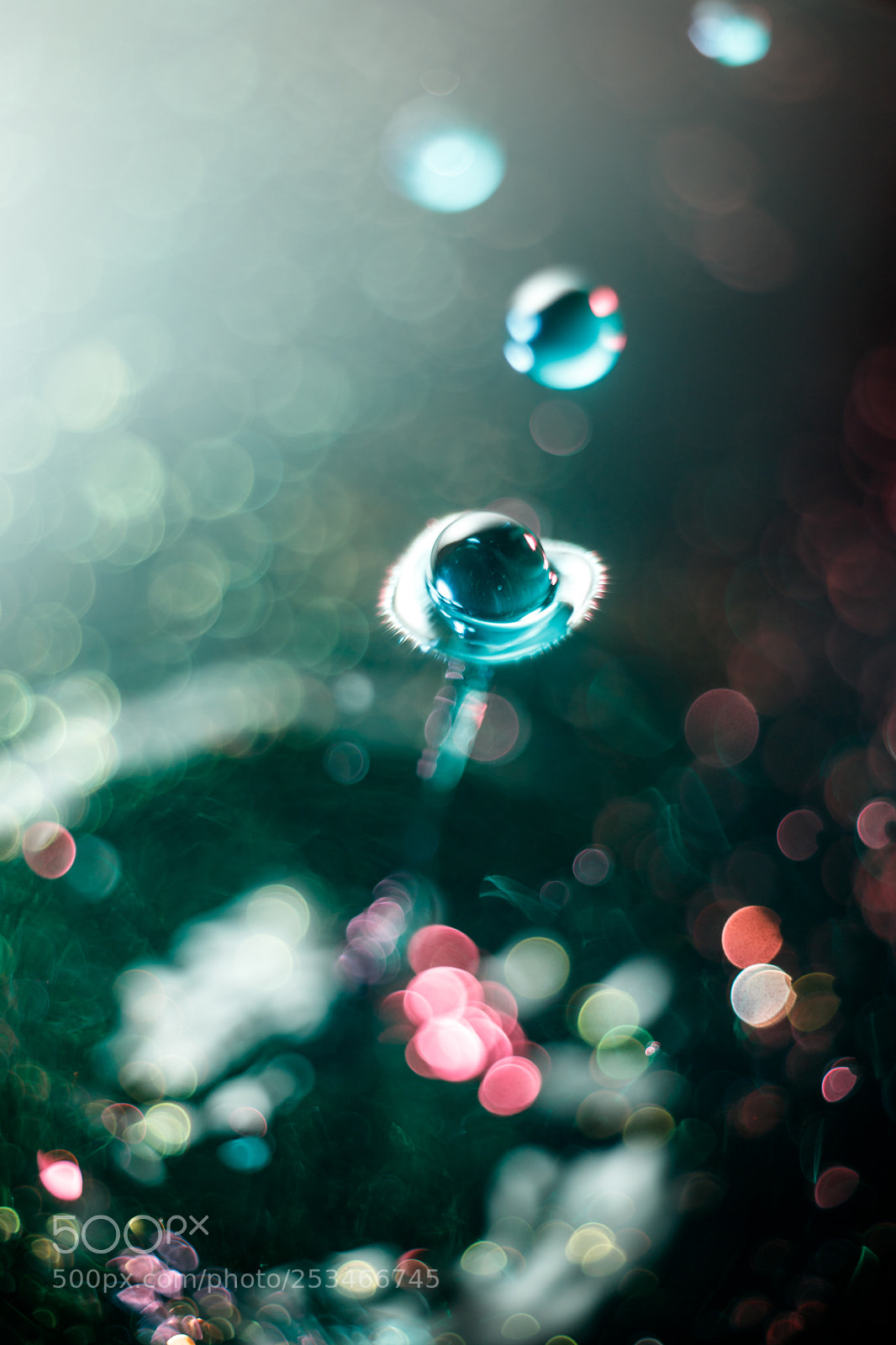 Canon EOS 6D Mark II sample photo. Water experiments #9 photography