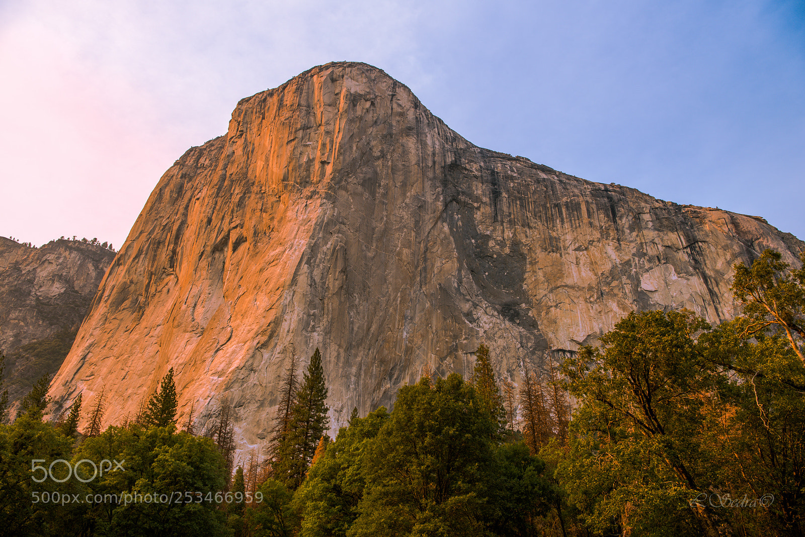 Nikon D800E sample photo. El capitan from yosemite photography
