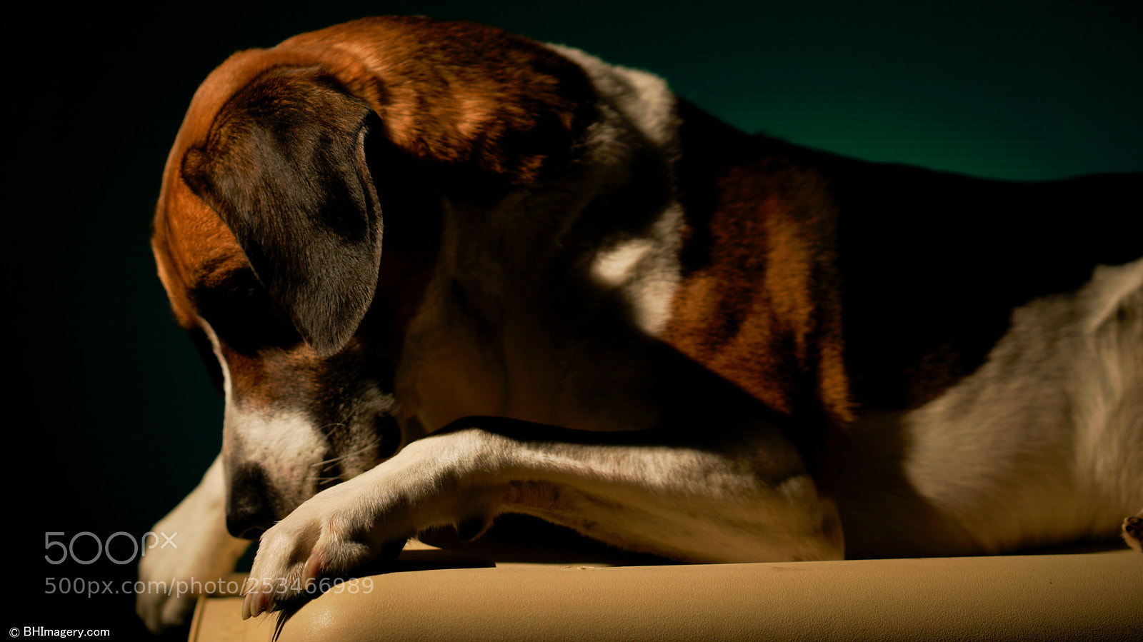 Sony a7R II sample photo. Dsc08820-4.jpg photography