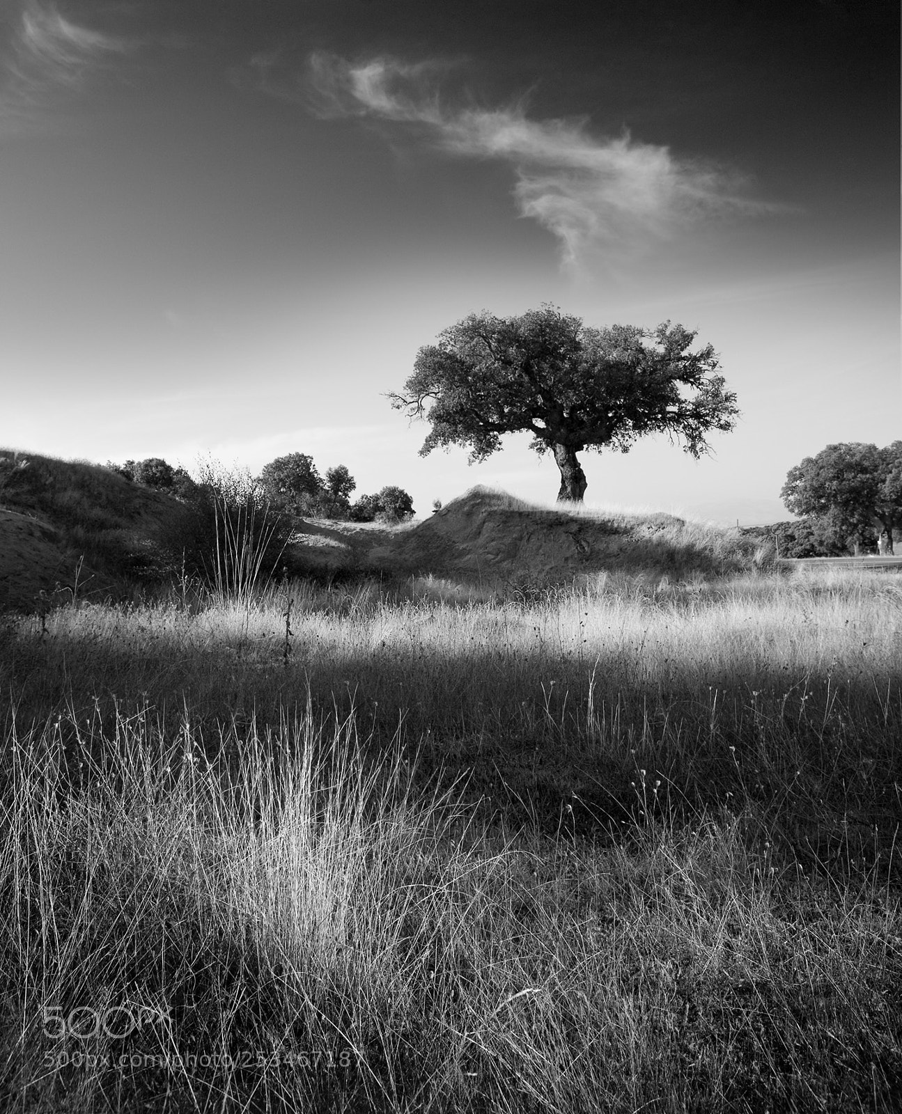 Canon EOS 5D sample photo. Pensamientos photography