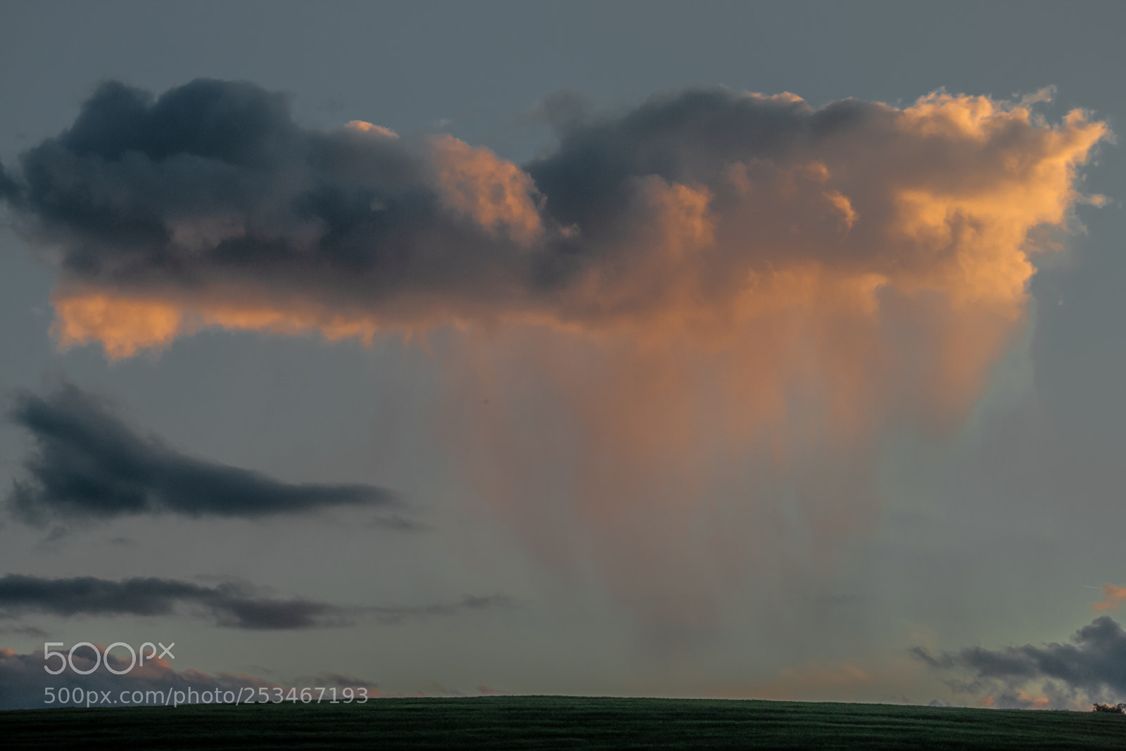 Canon EOS-1Ds Mark II sample photo. Garrigues landscape iv photography