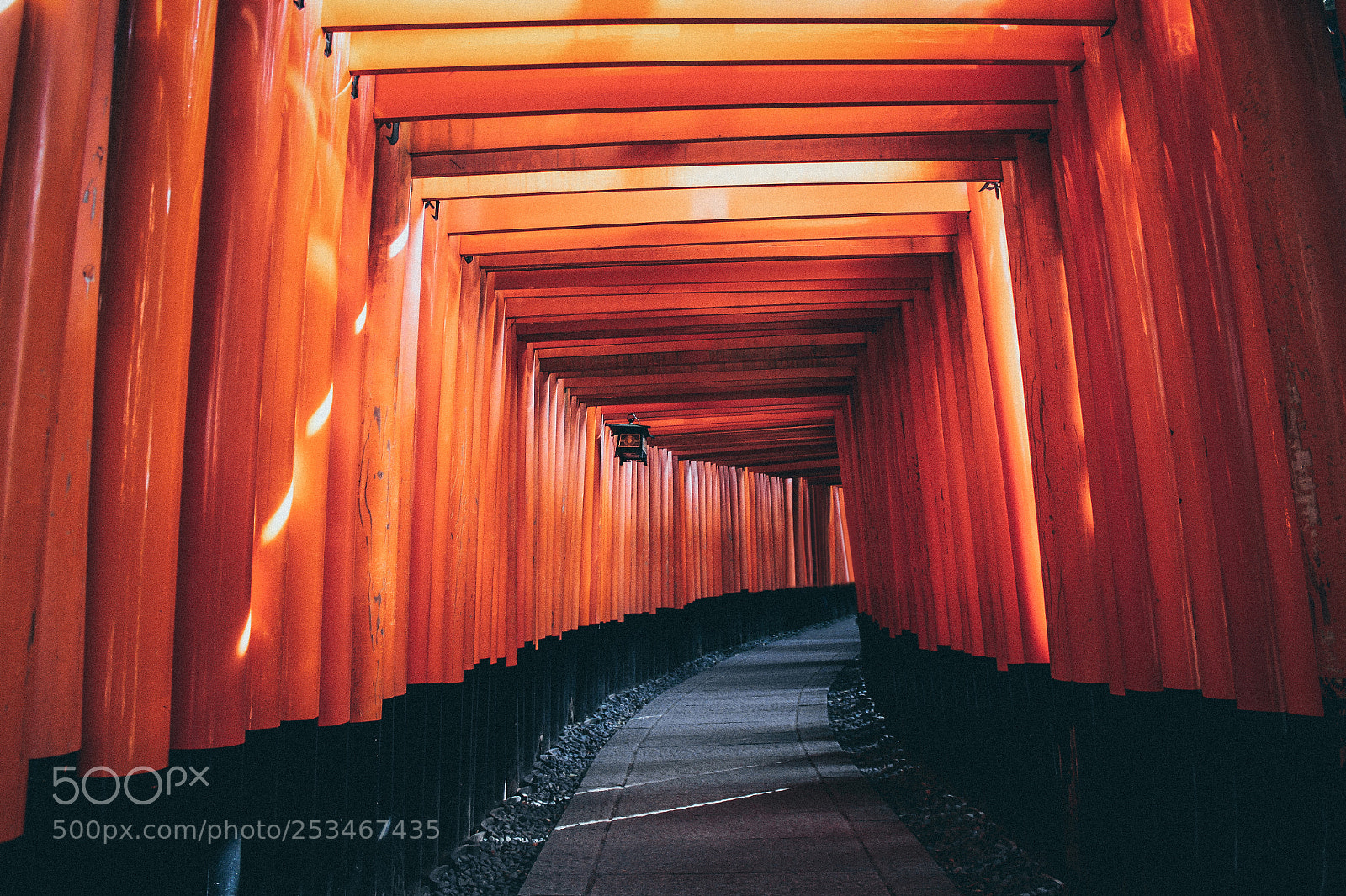 Canon EOS 500D (EOS Rebel T1i / EOS Kiss X3) sample photo. Fushimi inari photography