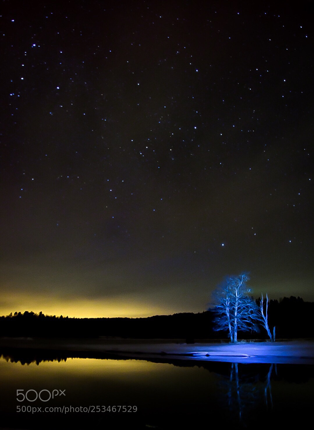 Nikon D500 sample photo. Cold night in sweden photography