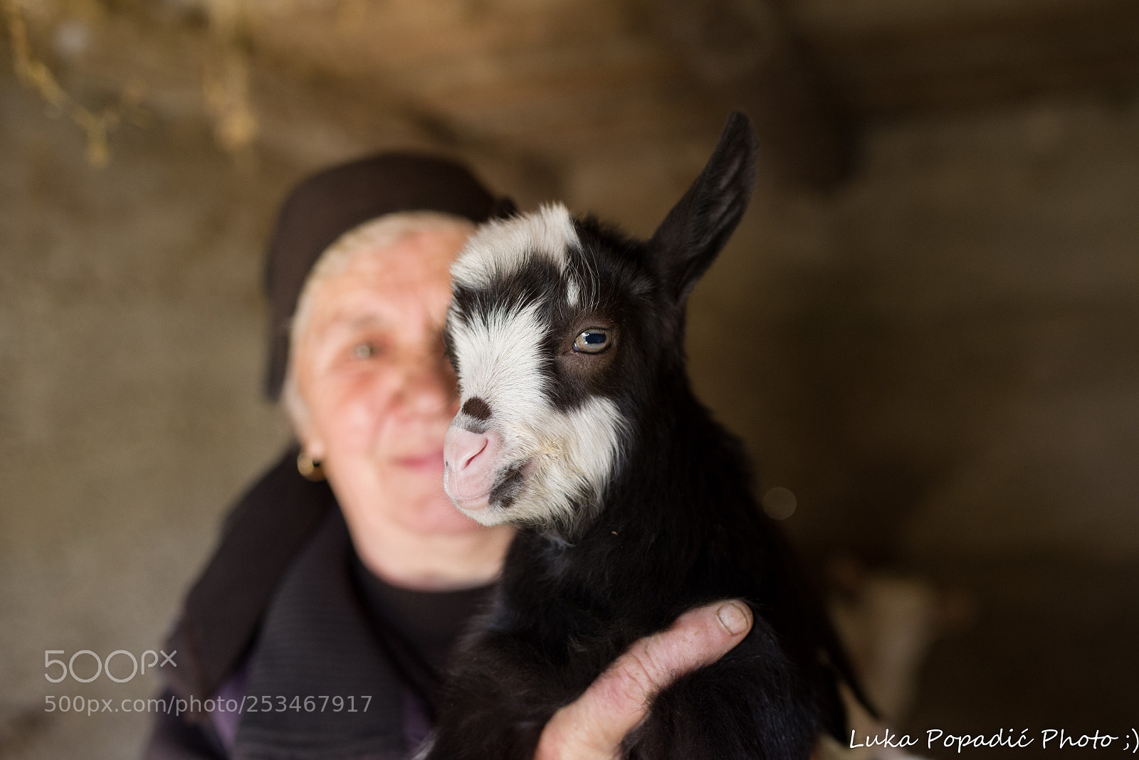 Pentax K-1 sample photo. Little goat photography