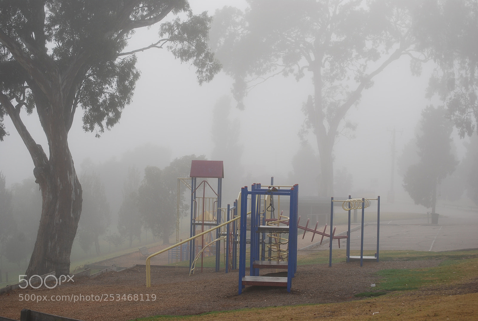 Nikon D40X sample photo. Foggy playground photography