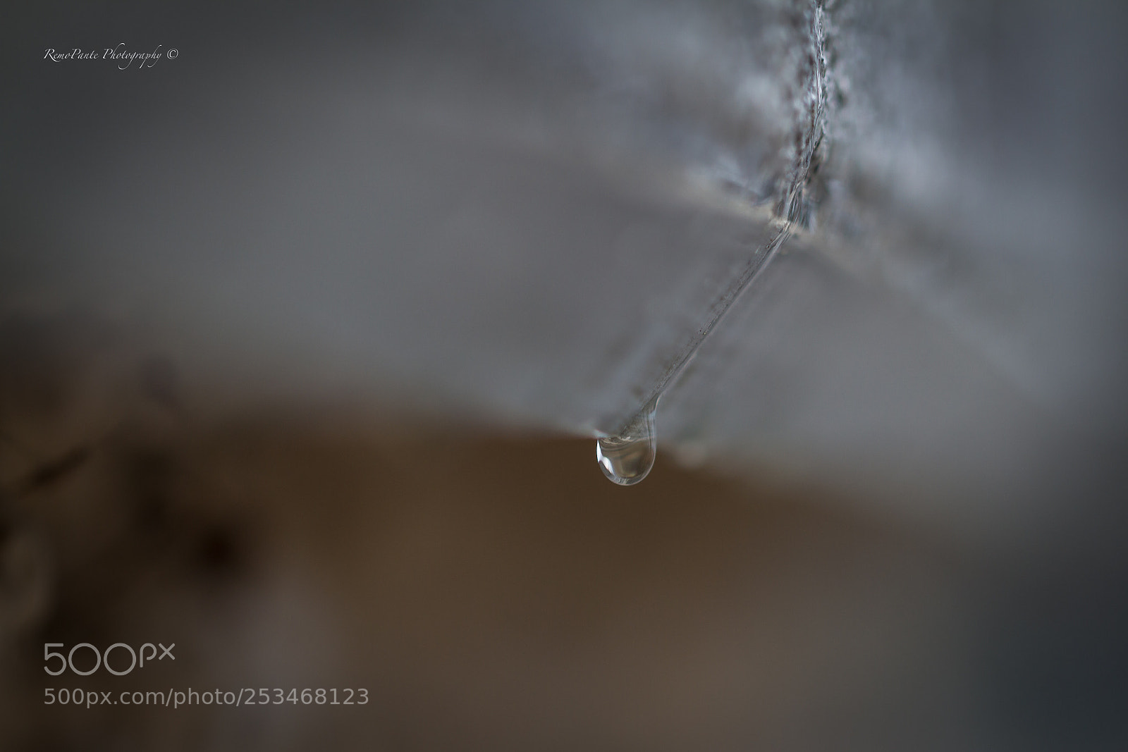 Canon EOS 7D sample photo. Traces of life photography