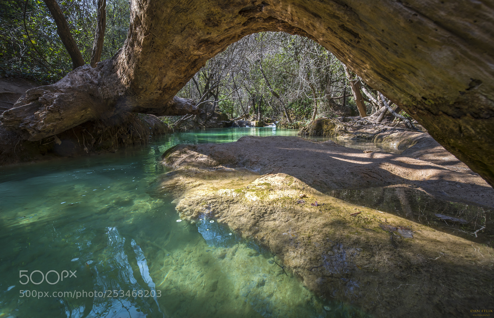 Nikon D850 sample photo. Green idyllic photography