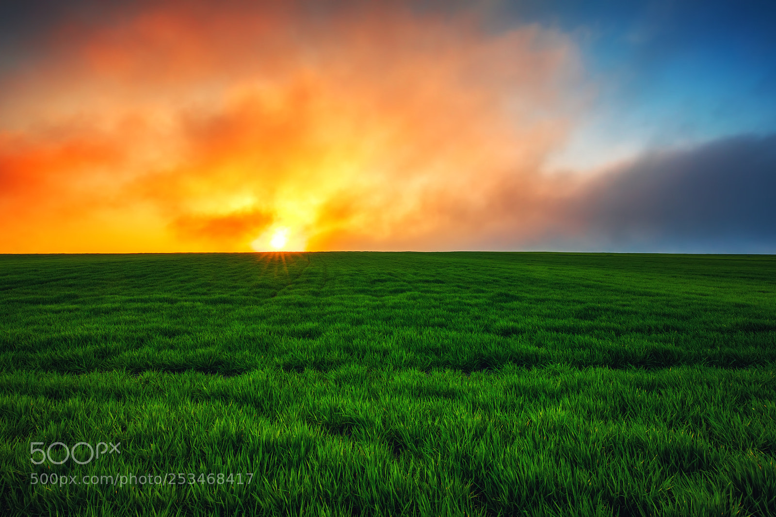 Canon EOS 5D Mark IV sample photo. Spring landscape with wheat photography