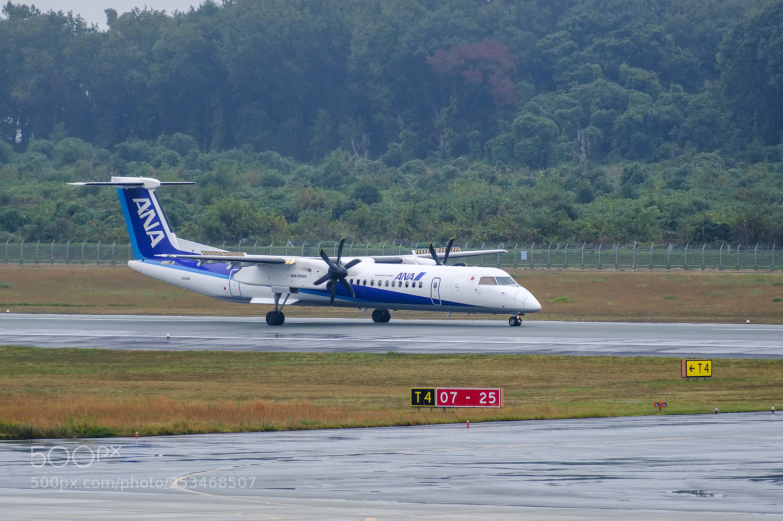 Fujifilm X-T2 sample photo. Ana wings q400 in photography