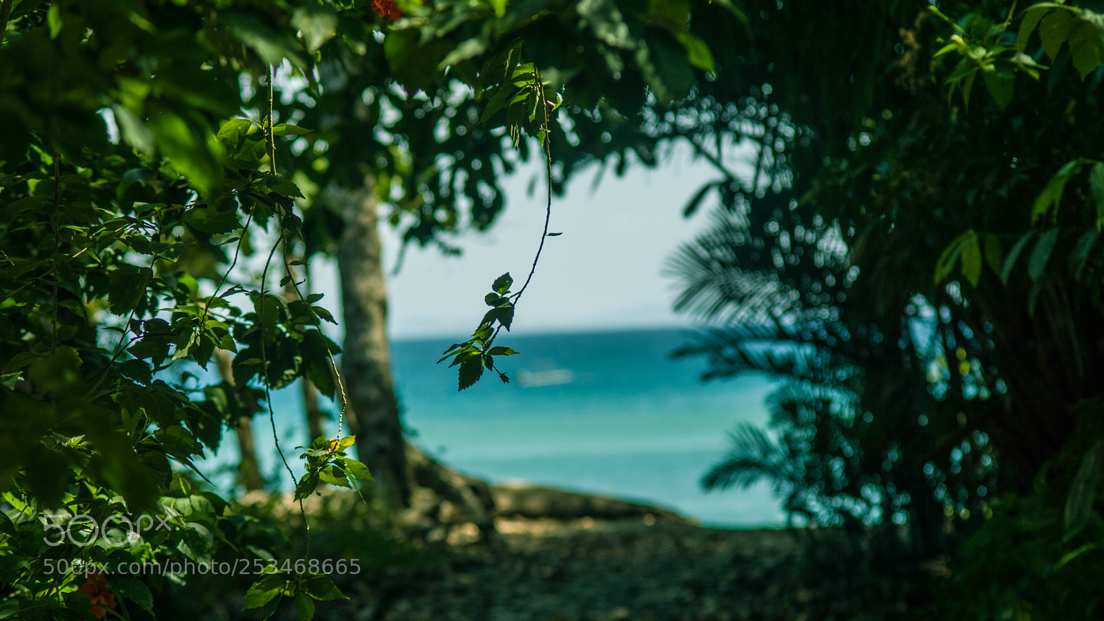 Sony a6000 sample photo. Enjoy all the trips photography