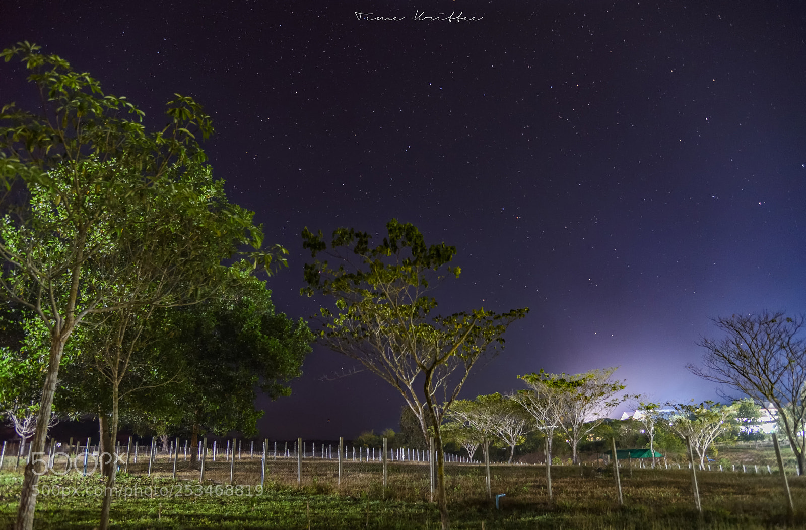 Nikon D750 sample photo. Night sky photography