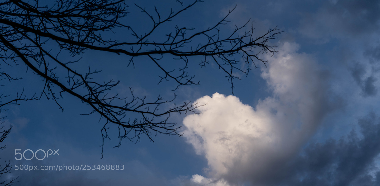 Sony a7 III sample photo. Cloud photography