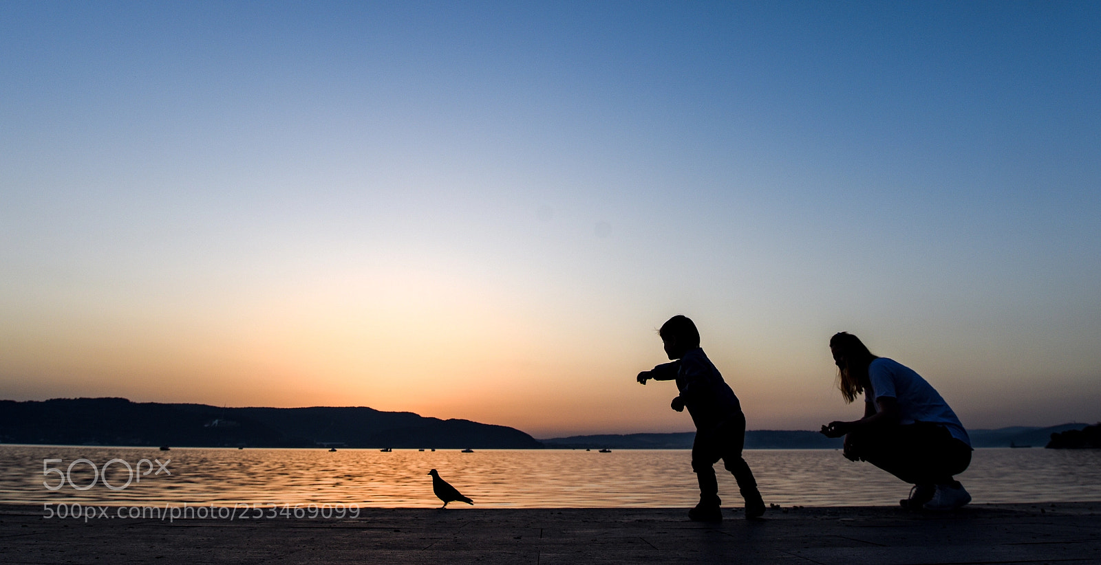 Nikon D810 sample photo. Untitled photography
