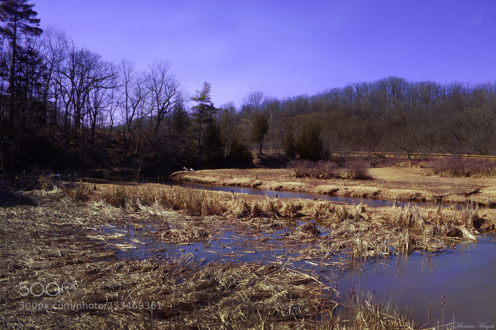 Nikon D3100 sample photo. Location shot photography