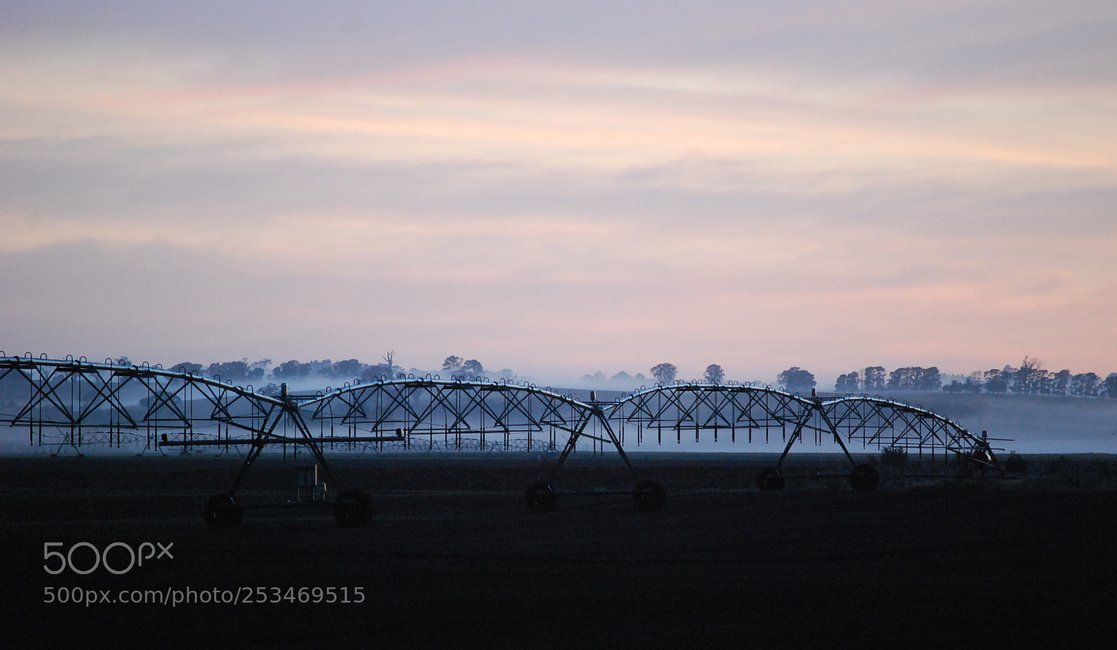 Nikon D40X sample photo. Early morning farm life photography