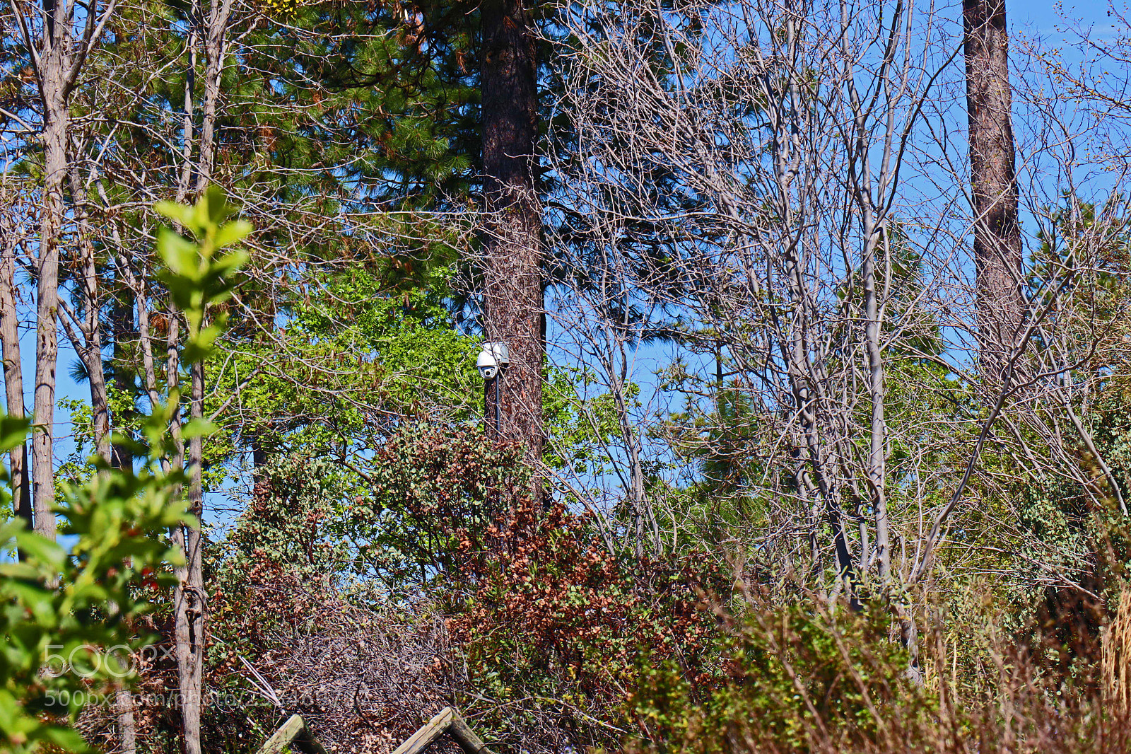 Canon EOS M50 (EOS Kiss M) sample photo. I've got my eye photography