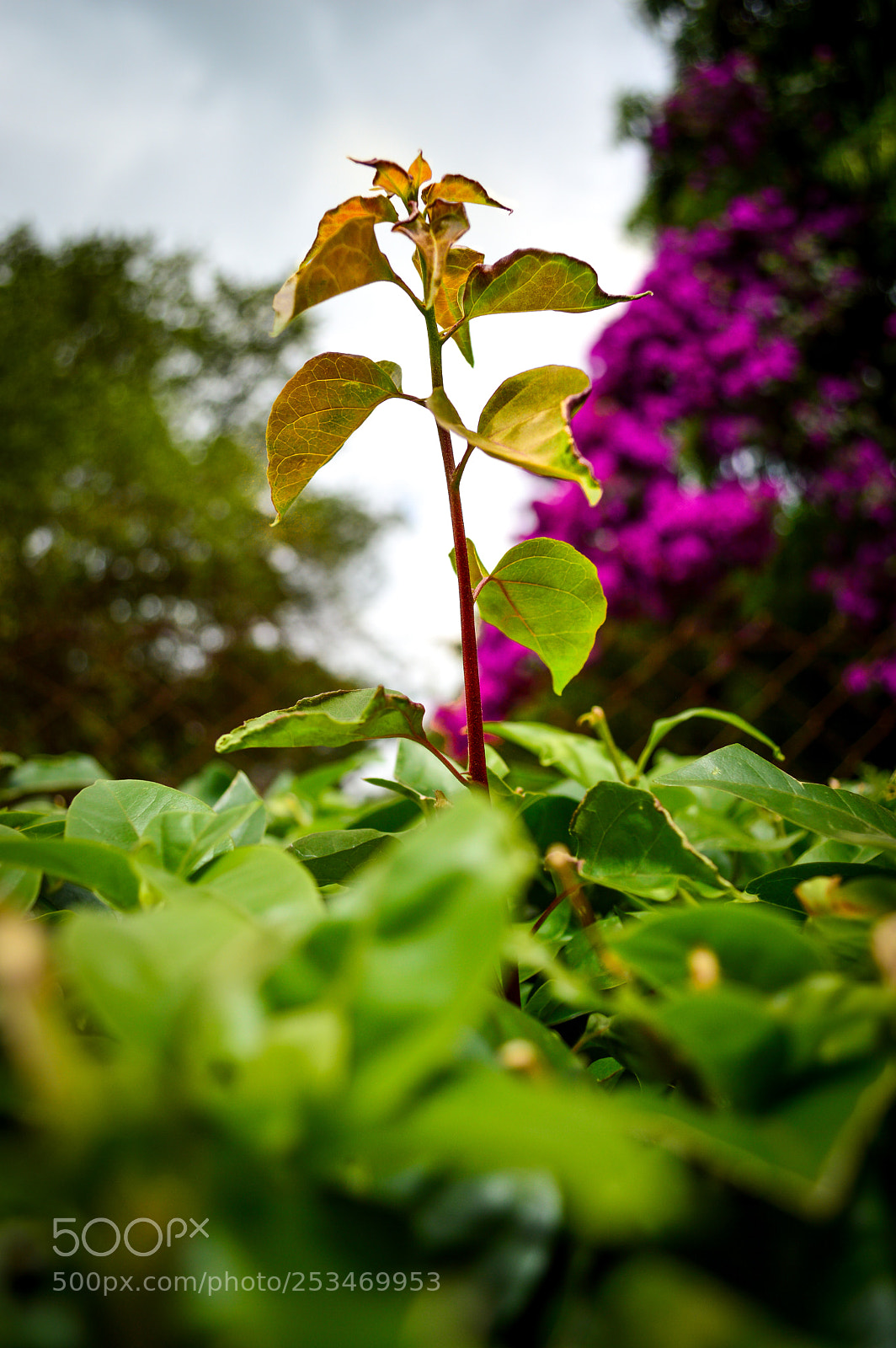 Nikon D3200 sample photo. Untitled photography