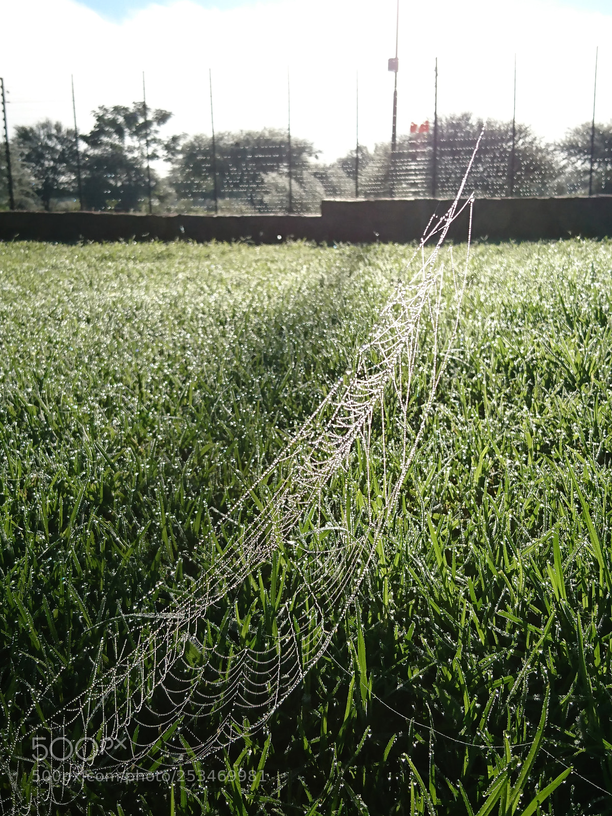 Sony Xperia XZ sample photo. Untitled photography