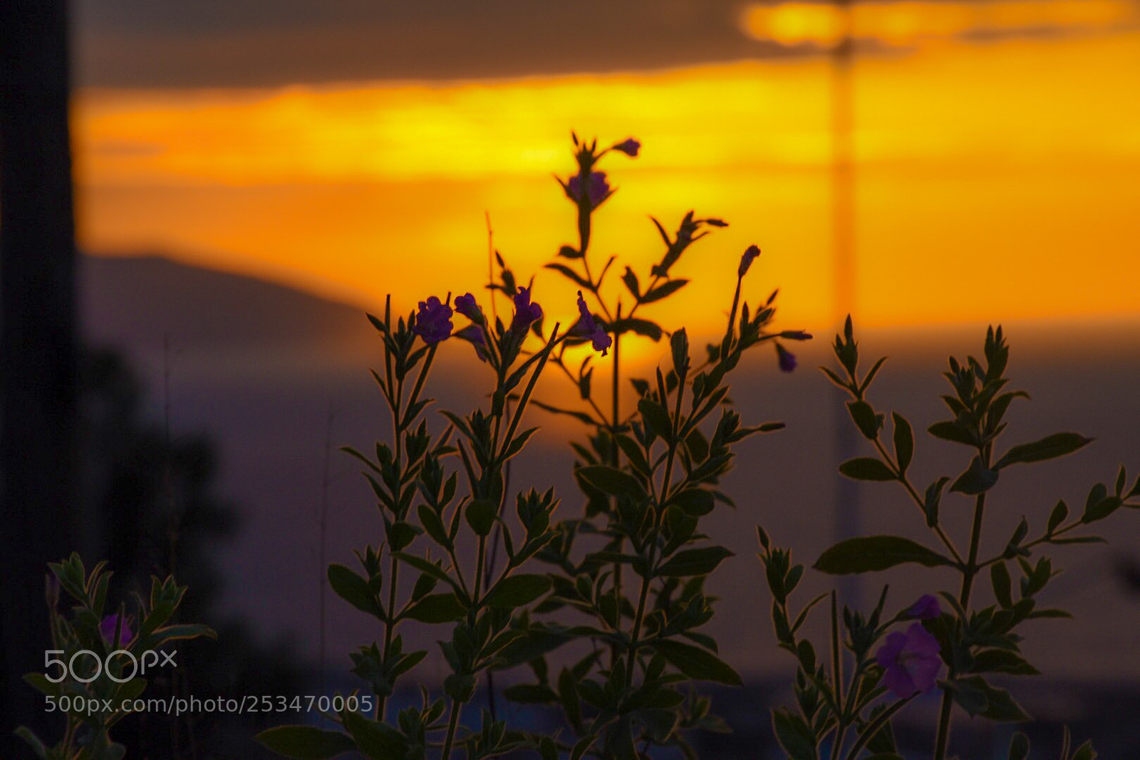 Nikon D7200 sample photo. Img photography