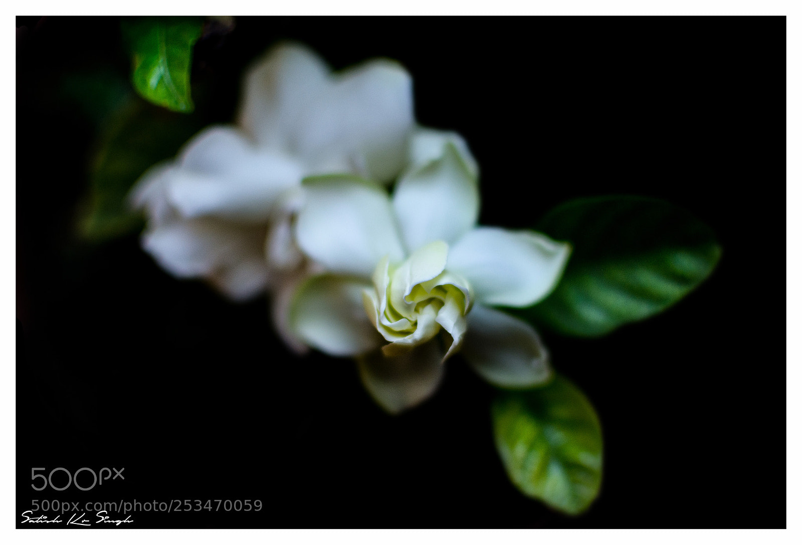 Nikon D7200 sample photo. Untitled photography