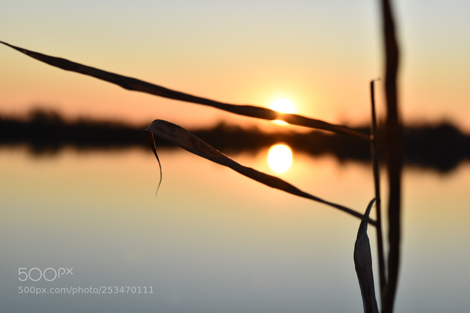Nikon D5500 sample photo. Sunset  photography