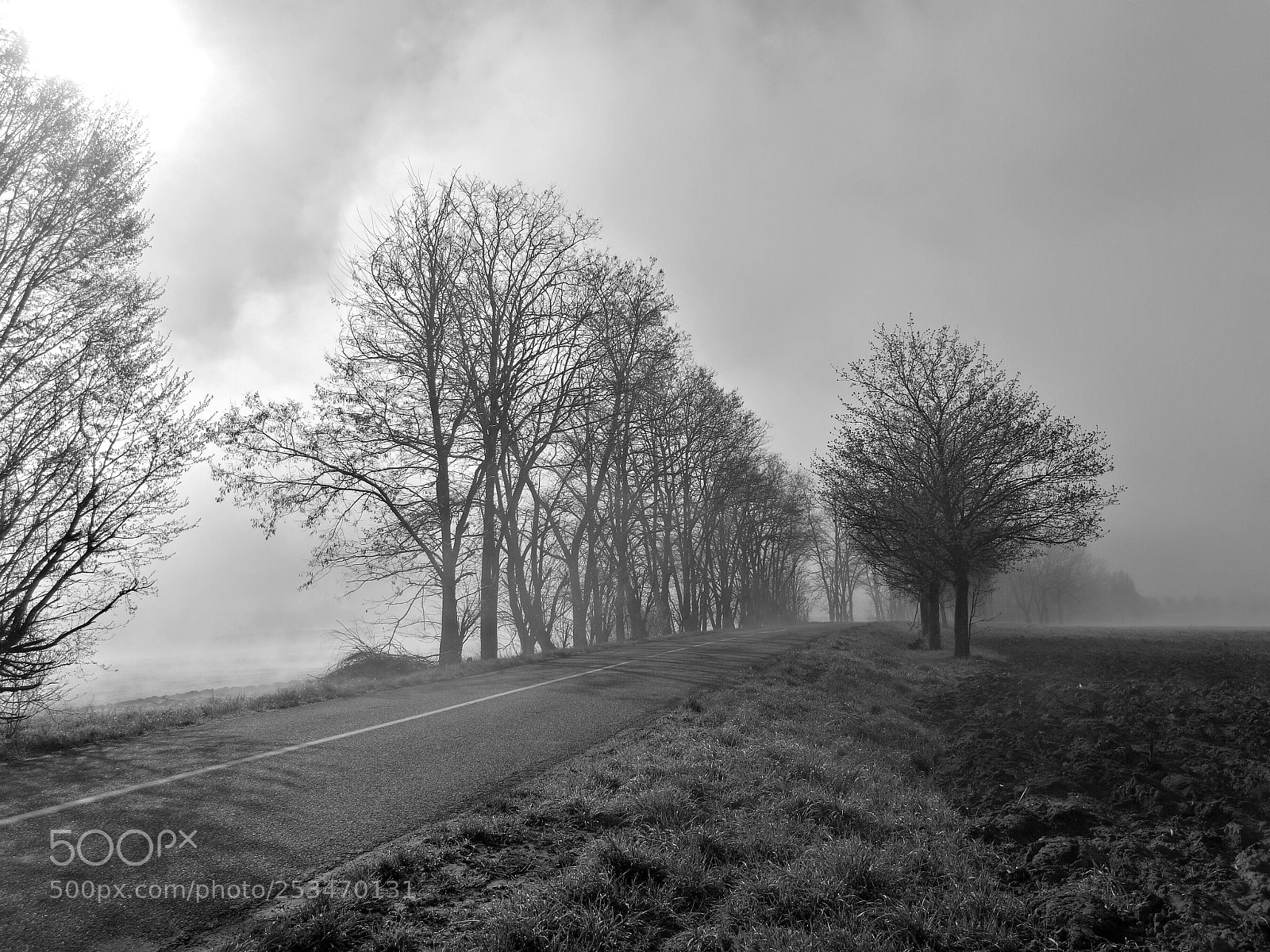 HUAWEI P9 sample photo. Mist the day photography