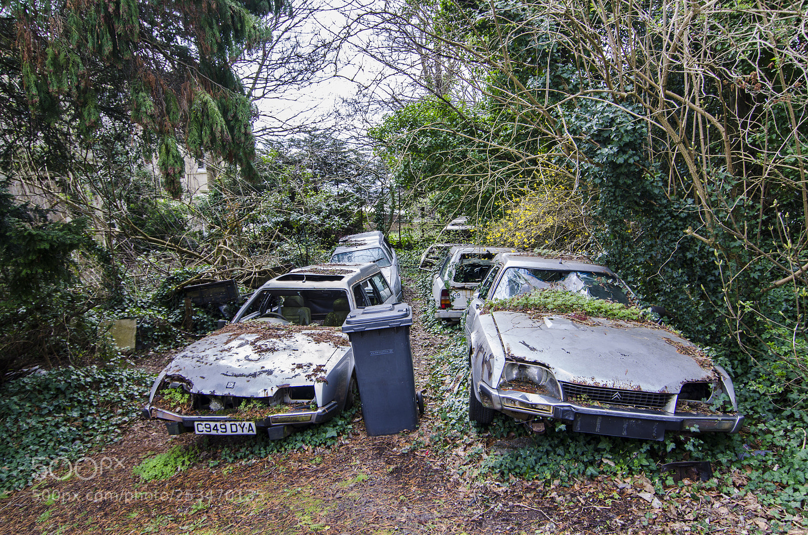 Nikon D7000 sample photo. Citroen car graveyard photography