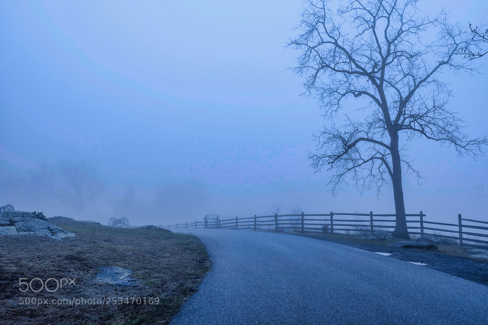 Fujifilm X-T2 sample photo. Roadside tree and fog photography