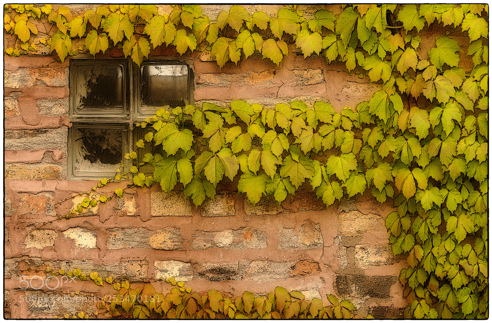 Nikon D300 sample photo. The wall photography