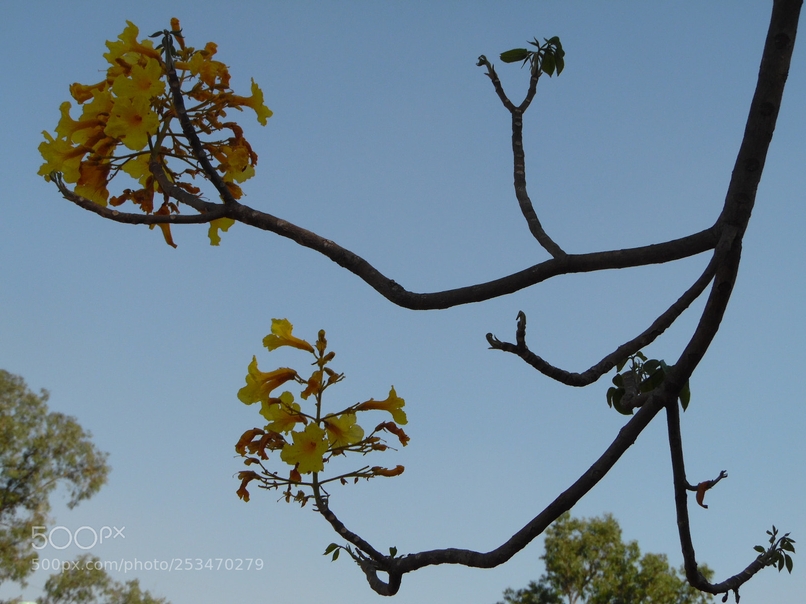 Samsung WB1100F/WB1101F/WB1102F sample photo. Entity that exists photography