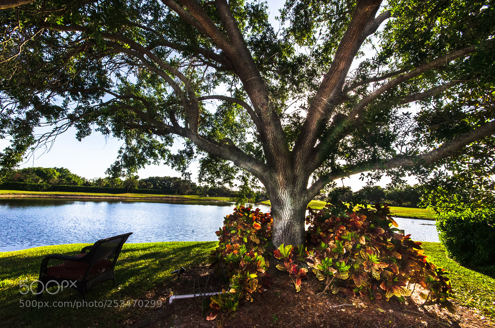 Nikon D7000 sample photo. Golf heaven photography