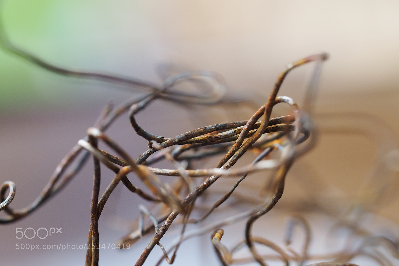 Olympus OM-D E-M5 II sample photo. What is it ? photography