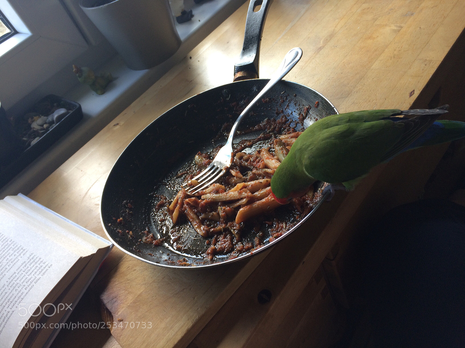 Apple iPhone 5s sample photo. Untitled photography