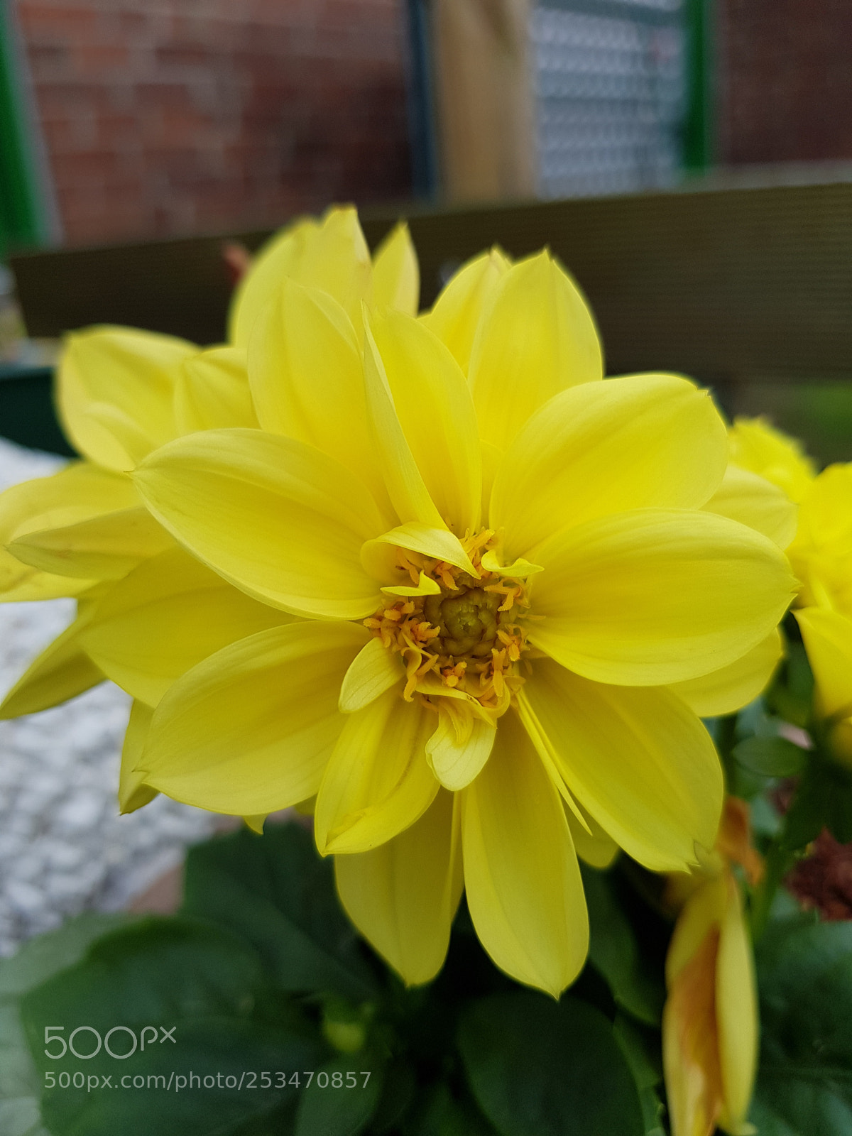 Samsung Galaxy S8+ sample photo. Untitled photography