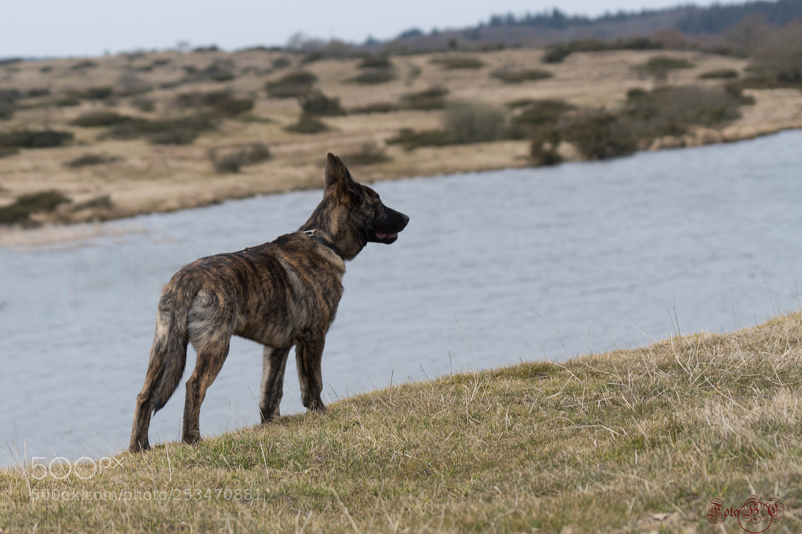 Sony ILCA-77M2 sample photo. Galdur photography