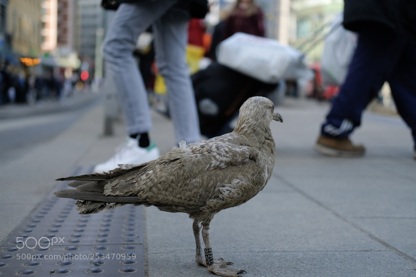 Fujifilm X-T2 sample photo. Just another day at photography