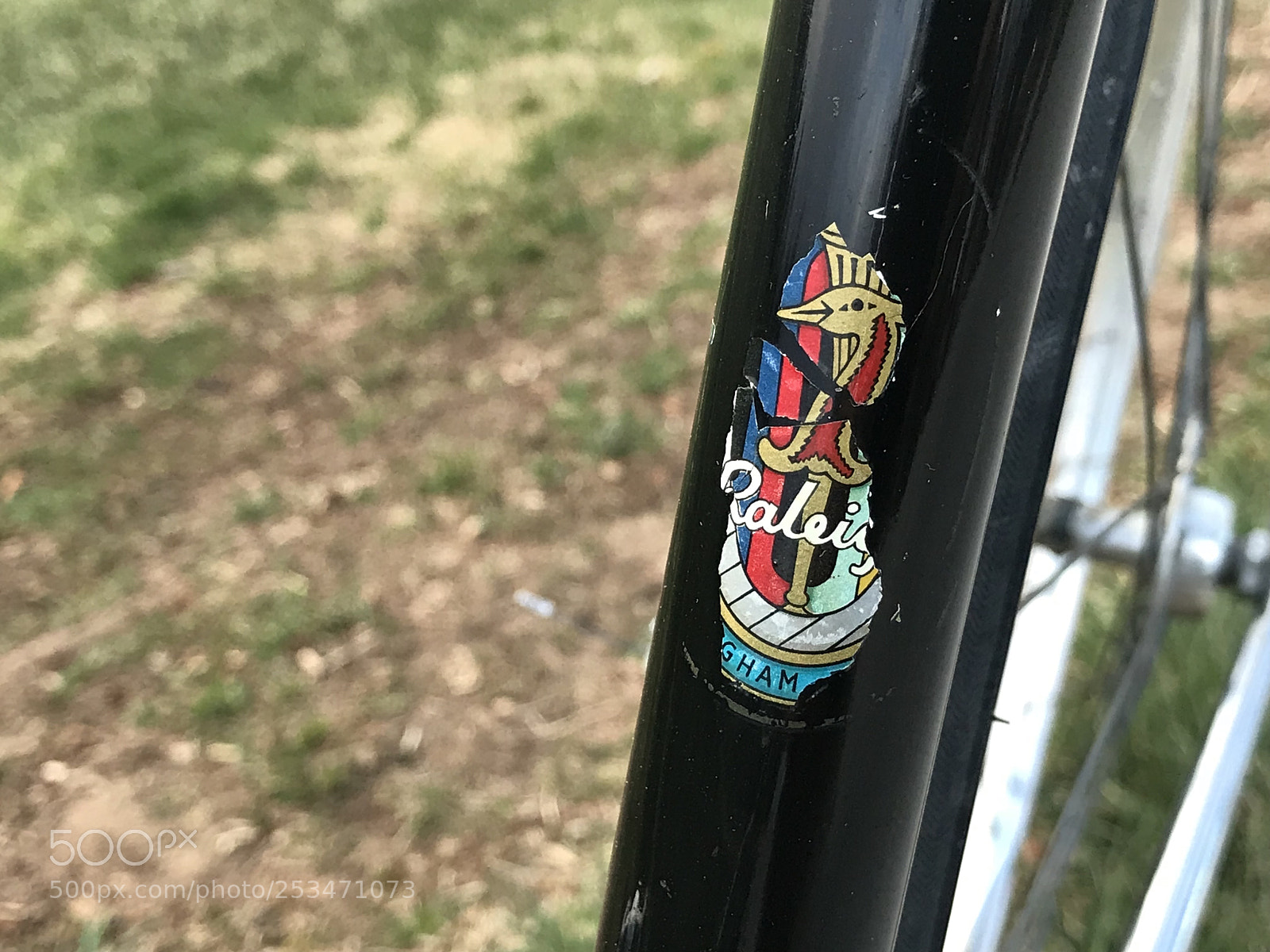Apple iPhone 7 Plus sample photo. Raleigh competition d9278 photography