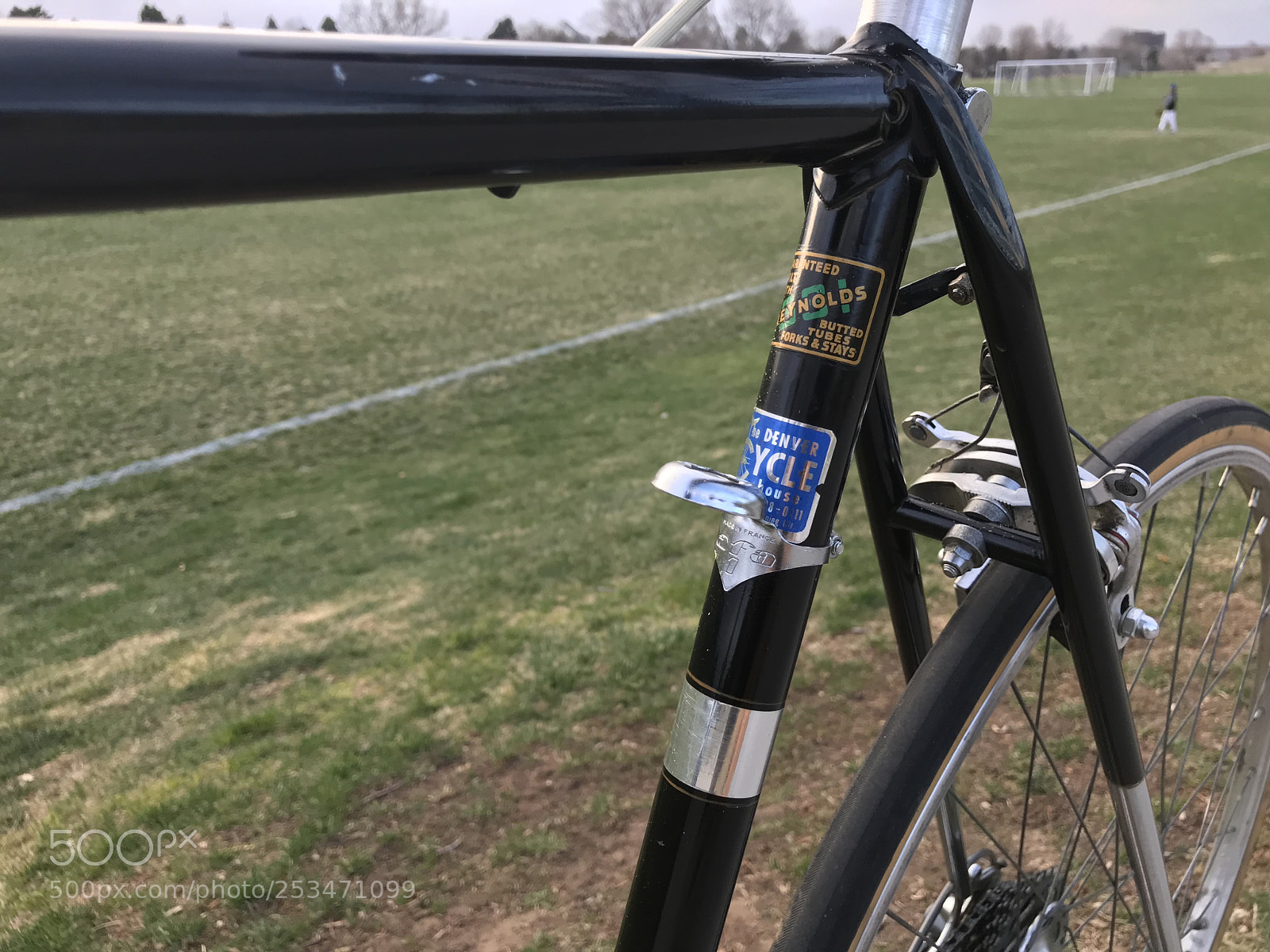 Apple iPhone 7 Plus sample photo. Raleigh competition d9278 photography