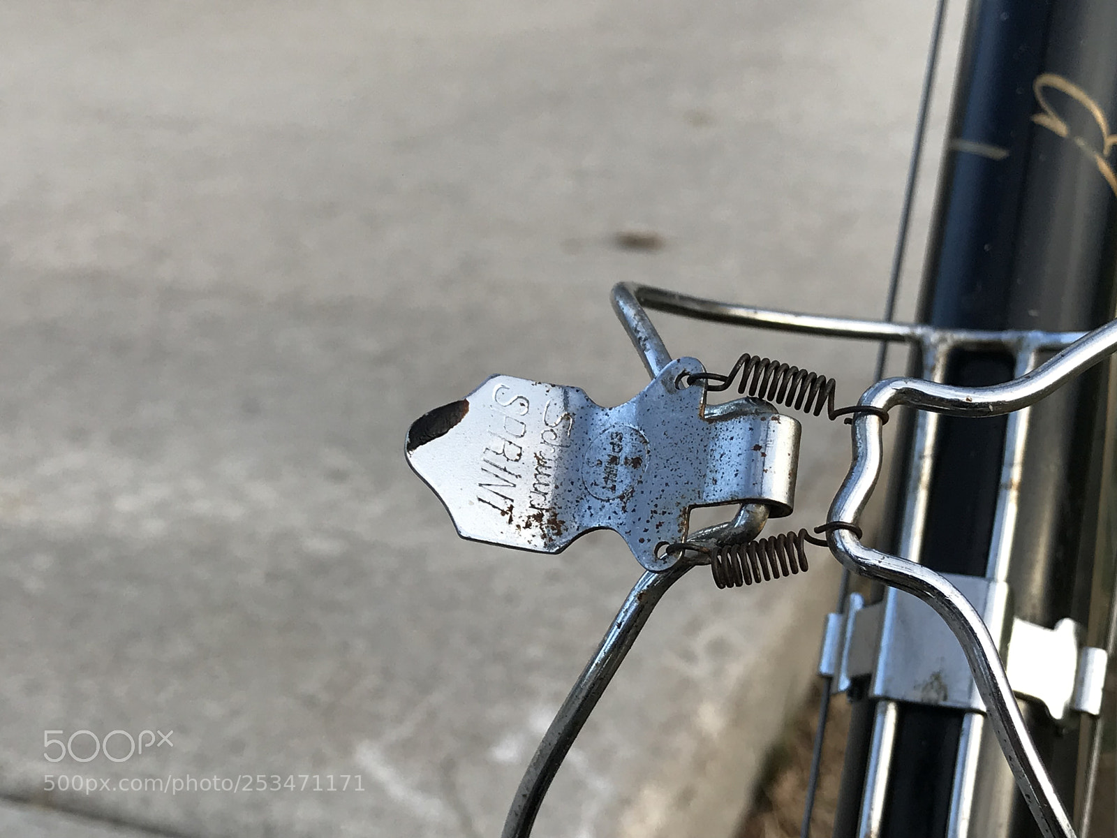 Apple iPhone 7 Plus sample photo. Raleigh competition d9278 photography