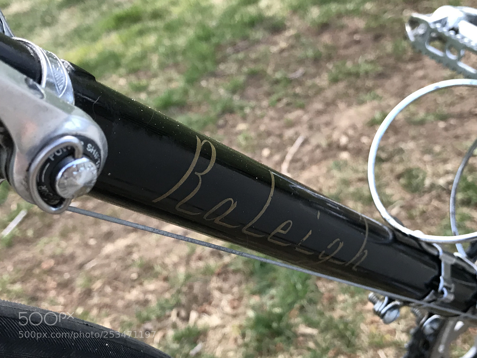 Apple iPhone 7 Plus sample photo. Raleigh competition d9278 photography