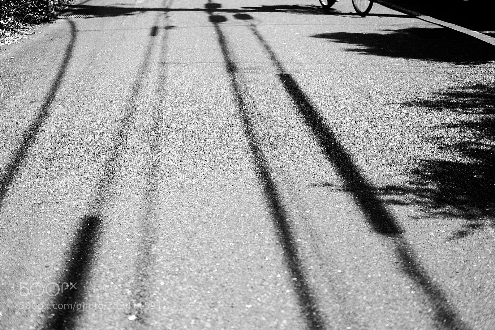 Fujifilm X-T2 sample photo. My life today photography