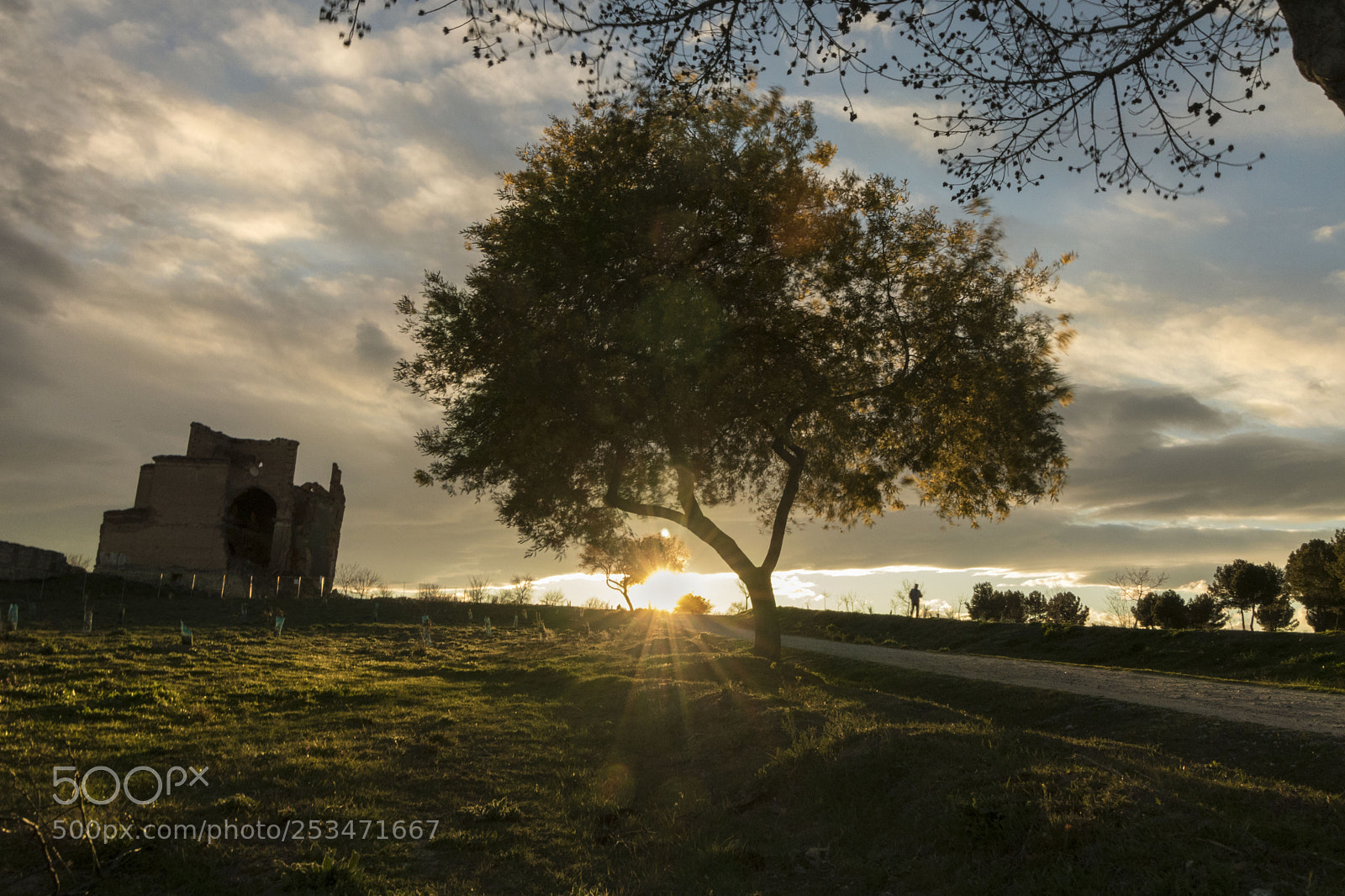 Canon EOS 77D (EOS 9000D / EOS 770D) sample photo. Castillo parque de polvoranca photography