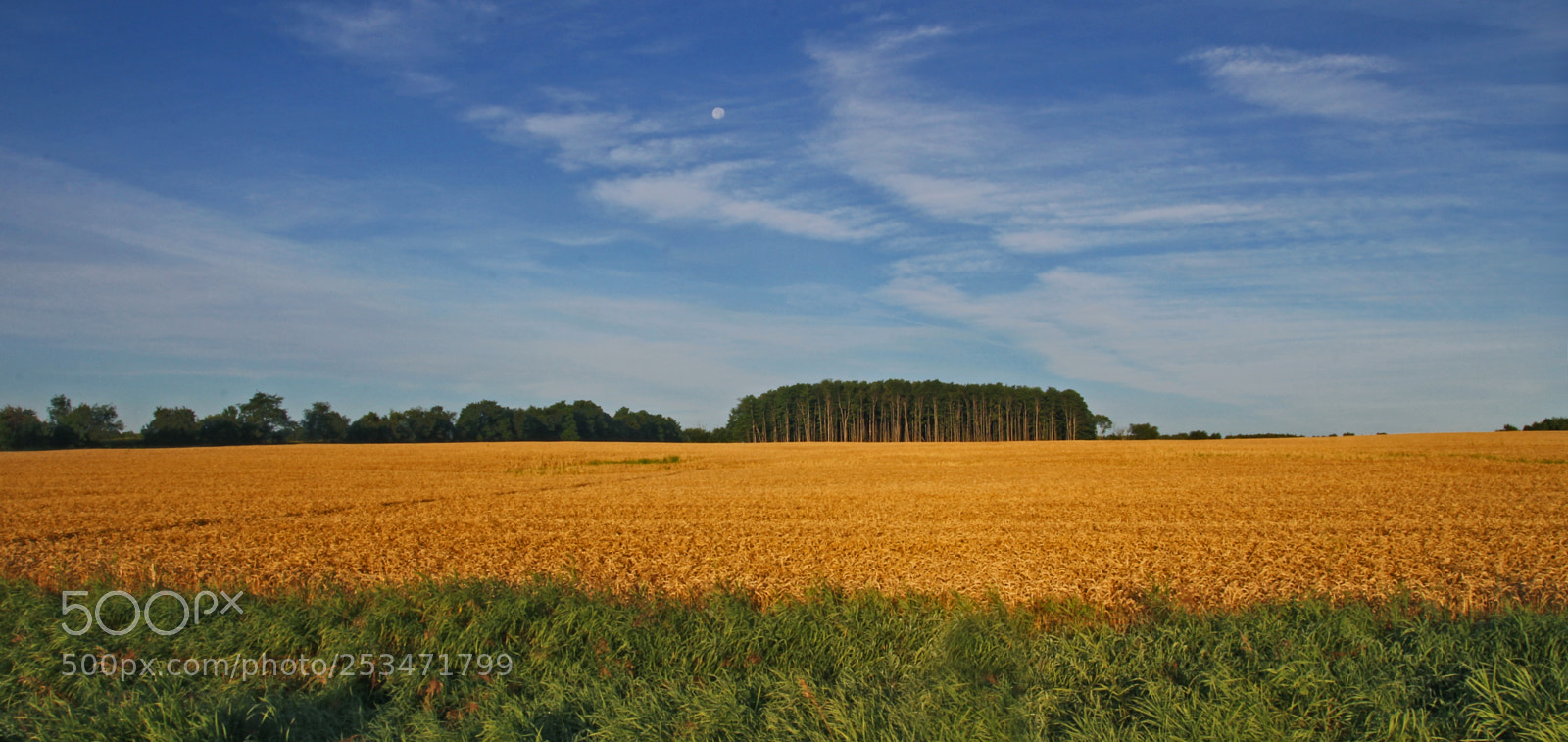 Canon EOS 60D sample photo. Lkhj () photography